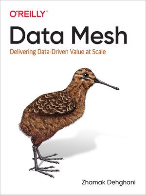 cover image of Data Mesh